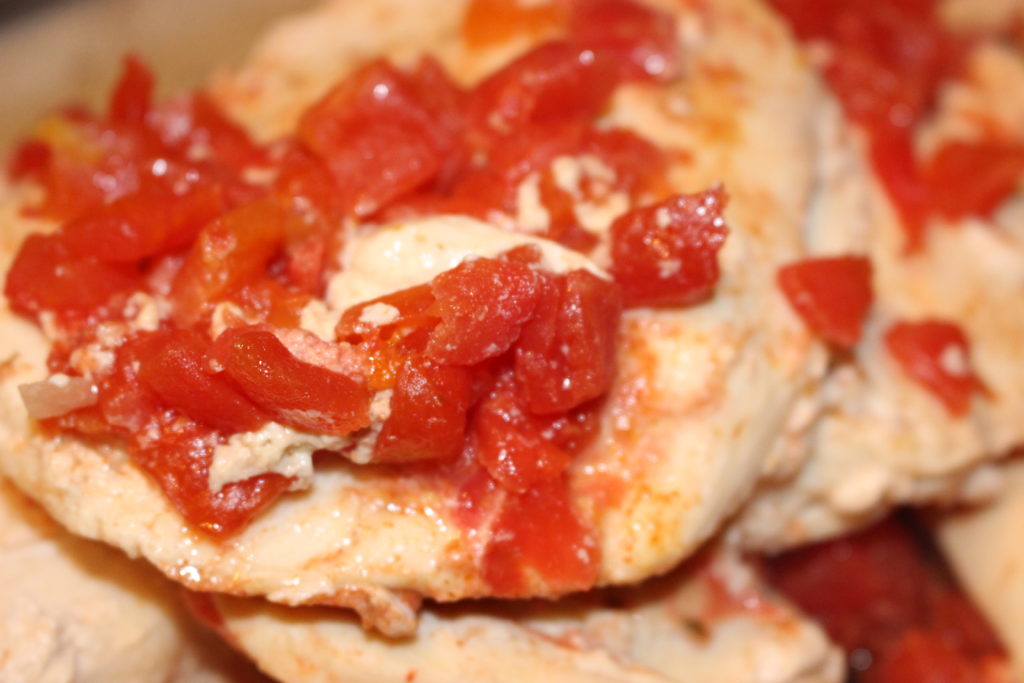 salsa shredded chicken