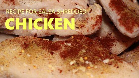 Salsa Shredded Chicken Made Easy in Crock Pot