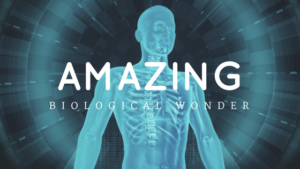 10 Simple Ways to Become an Amazing Biological Wonder