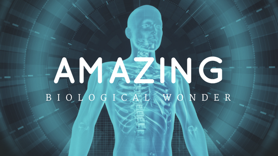 10 Simple Ways to Become an Amazing Biological Wonder