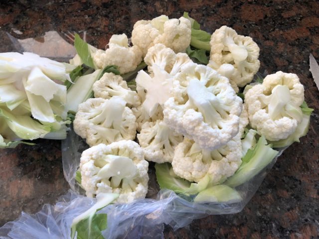 Cauliflower Riced Picture of Heads Removed