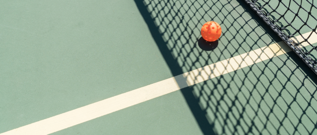 backyard pickleball court