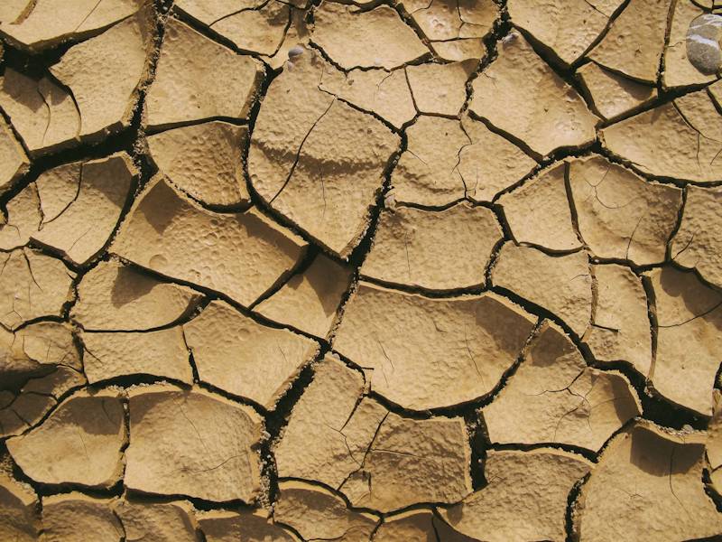 prepping your dirt