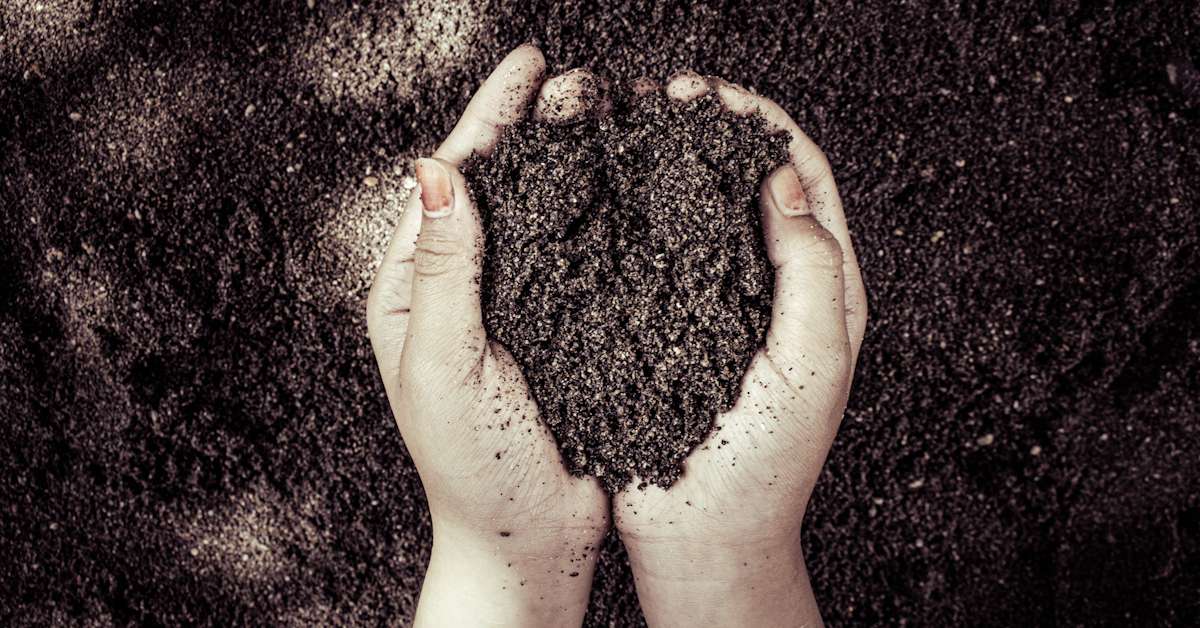 The In-Ground Edge: Prepping Your Dirt for Success in Arizona Clay