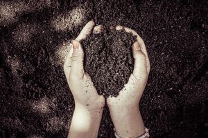 Two hands cupping dark soil, symbolizing nature and growth.
