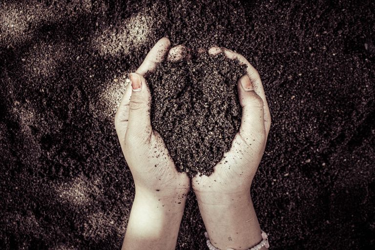 Two hands cupping dark soil, symbolizing nature and growth.