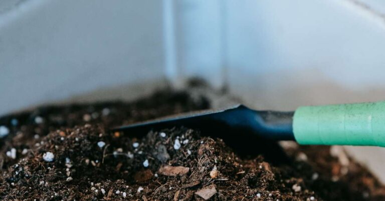 Bucket Composting: The Easy Way to Recycle Vegetable Scraps