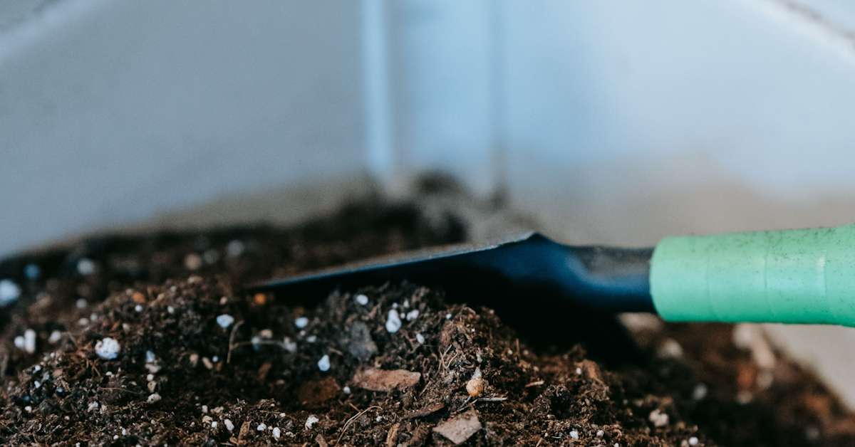 Bucket Composting: The Easy Way to Recycle Vegetable Scraps